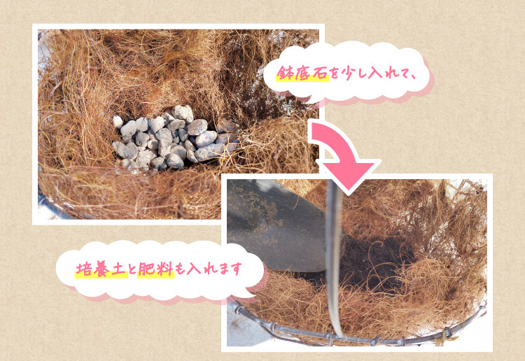 鉢底石を少し入れて、培養土と肥料も入れます