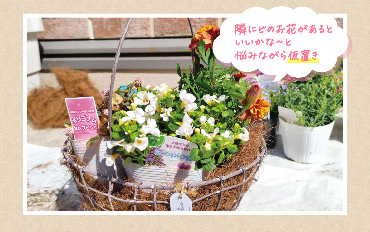 隣にどのお花があるといいかな〜と悩みながら仮置き