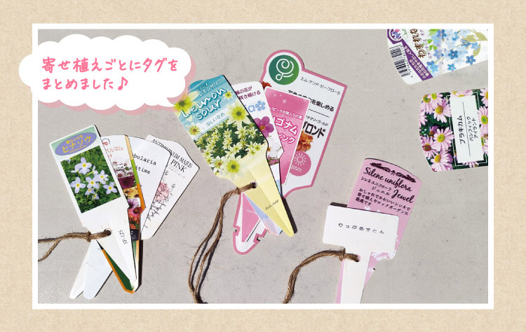 寄せ植えごとにタグをまとめました♪