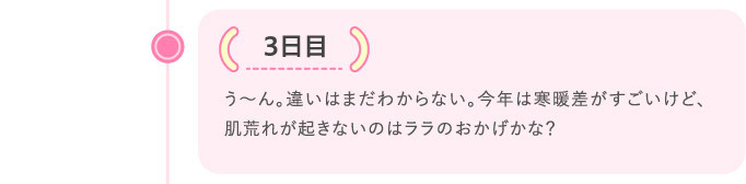 3日目