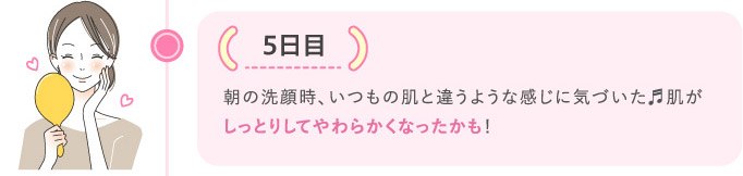5日目