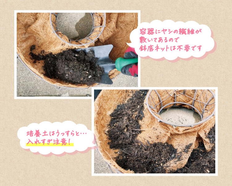 容器にヤシの繊維が敷いてあるので鉢底ネットは不要です 培養土はうっすらと…入れすぎ注意!