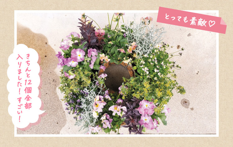 とっても素敵♡ きちんと12個全部入りました!すごい!
