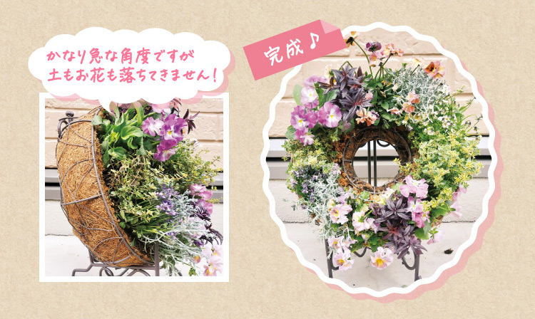 かなり急な角度ですが土もお花も落ちてきません! 完成♪