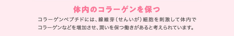 体内のコラーゲンを保つ