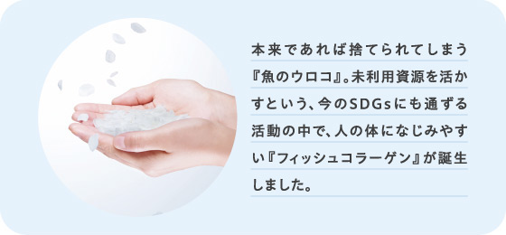 90%本来であれば捨てられてしまう『魚のウロコ』。未利用資源を活かすという、今のSDGsにも通ずる活動の中で、人の体になじみやすい『フィッシュコラーゲン』が誕生しました。
