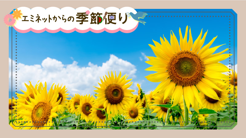 とっとり季記・8月
