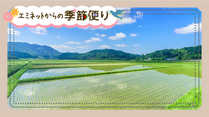 とっとり季記・5月