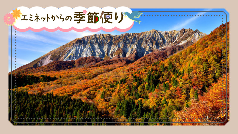 とっとり季記・11月