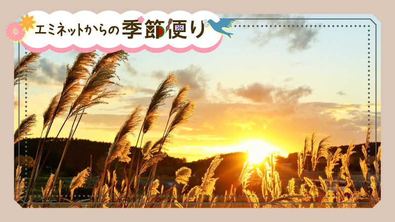 とっとり季記・10月