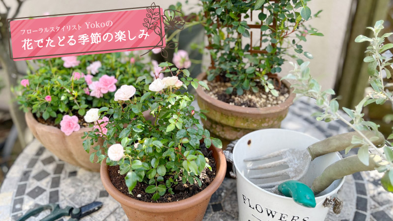 フローラルスタイリストYokoの花でたどる季節の楽しみ
