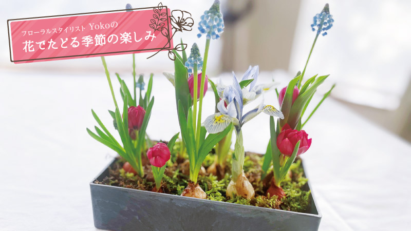 フローラルスタイリストYokoの花でたどる季節の楽しみ